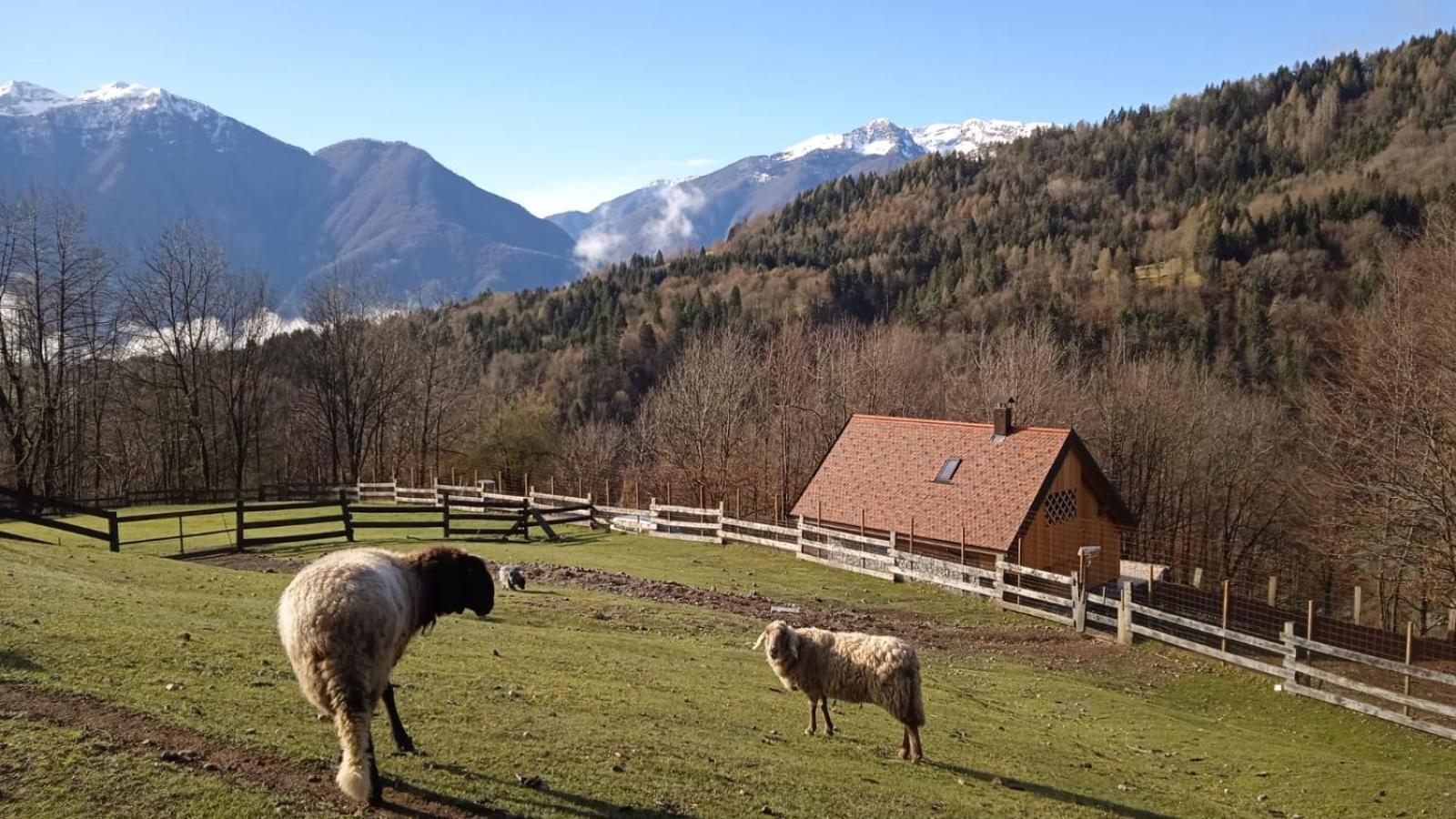 Chalet Navauce Raveo Exterior photo